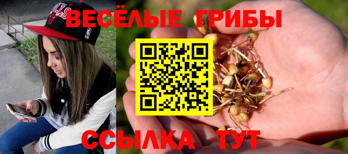 Семилуки  как найти наркотики  Вход с VPN  Псилоцибиновые грибы прущие грибы 